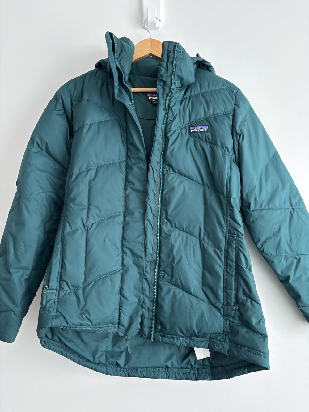 Patagonia spruce green women's jacket size M